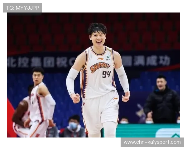 辽宁男篮王哲林伤病突发，季后赛前景面临巨大挑战
