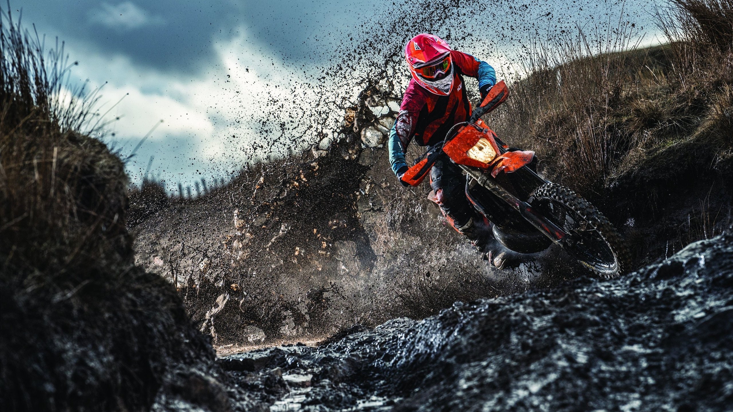 我还没上车啊！严宏钧快车道全力追车封王游行笑翻全场，严宏强简历